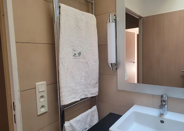 Hakuna Matata Domaine Des 3 Forets-pmr-6 Personnes Sauna Balneo-acces Aquamondo Non Inclus *