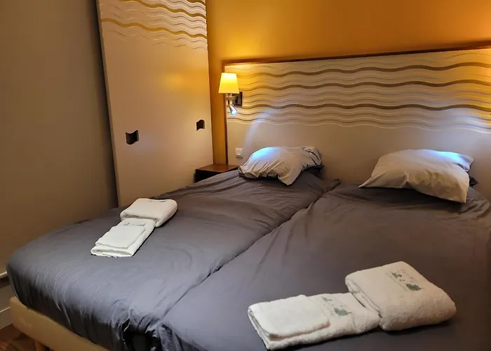 Hakuna Matata Domaine Des 3 Forets-pmr-6 Personnes Sauna Balneo-acces Aquamondo Non Inclus * Аттиньи