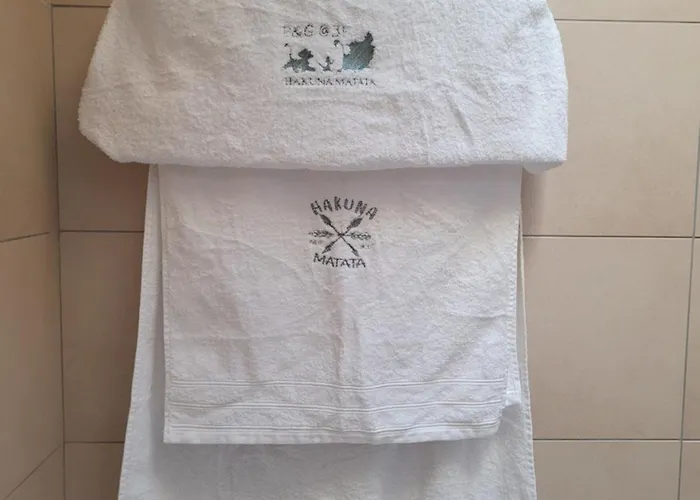 Hakuna Matata Domaine Des 3 Forets-pmr-6 Personnes Sauna Balneo-acces Aquamondo Non Inclus