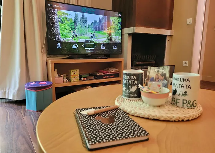 Hakuna Matata Domaine Des 3 Forets-pmr-6 Personnes Sauna Balneo-acces Aquamondo Non Inclus Дом отдыха Аттиньи