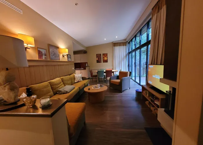 Hakuna Matata Domaine Des 3 Forets-pmr-6 Personnes Sauna Balneo-acces Aquamondo Non Inclus *