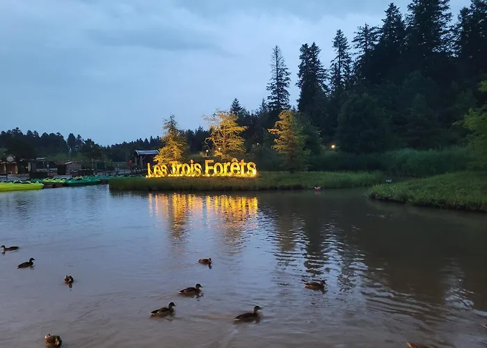 Hakuna Matata Domaine Des 3 Forets-pmr-6 Personnes Sauna Balneo-acces Aquamondo Non Inclus Дом отдыха Аттиньи